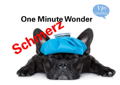one minute wonder/ schmerz